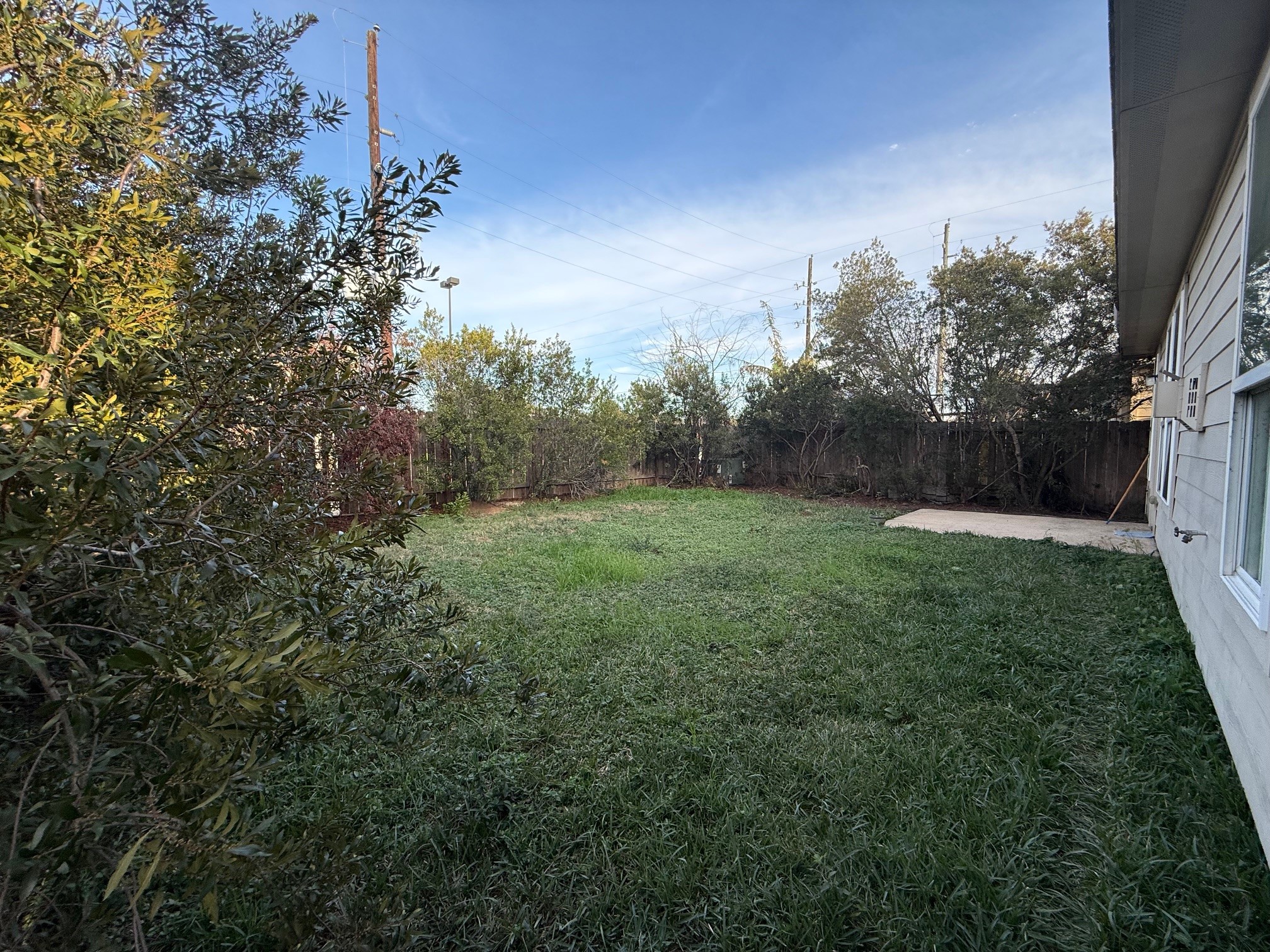 24906 Clover Ranch Drive Katy, TX 77494 - Photo 11 of 13 a view of a backyard of the house