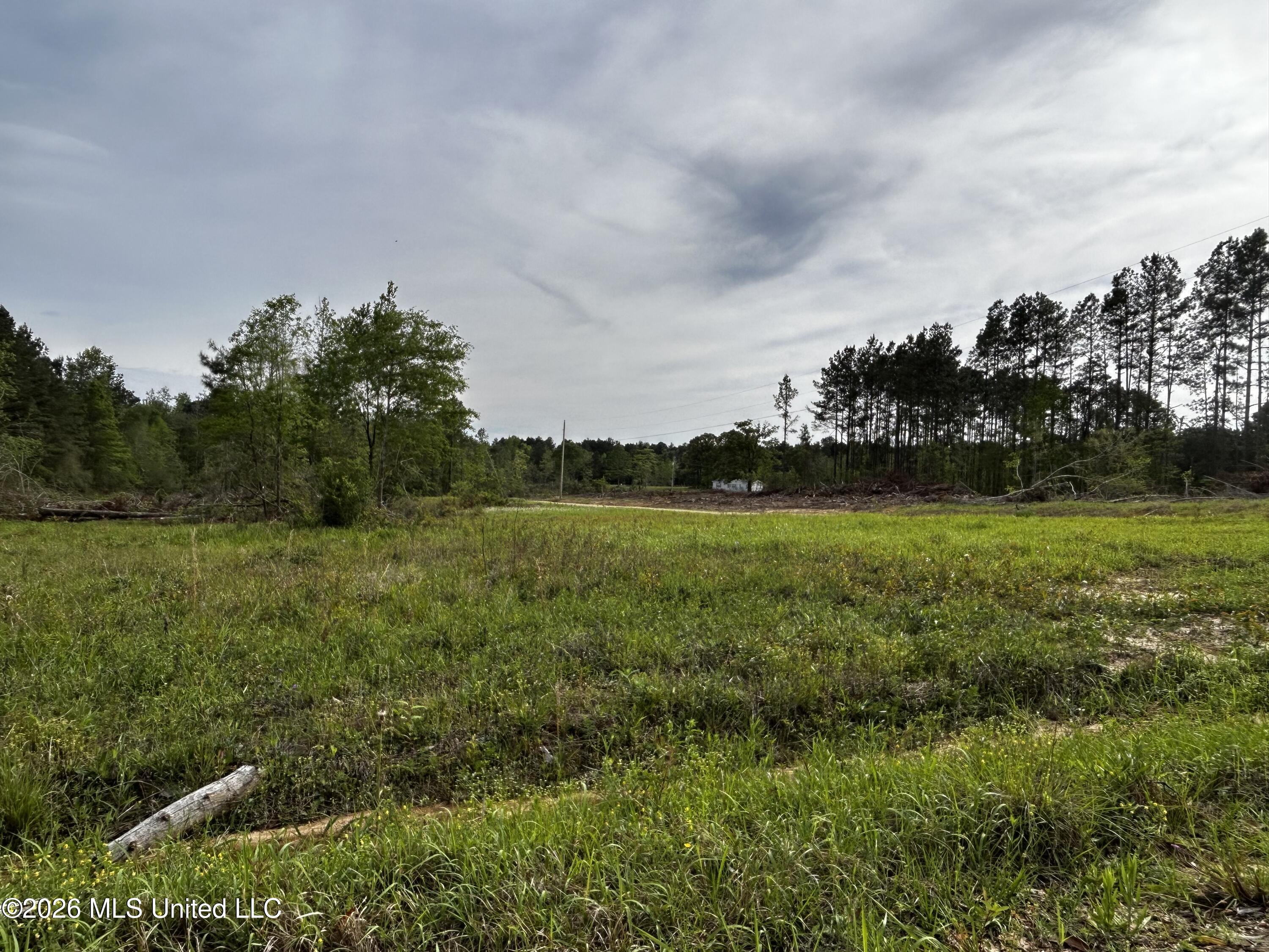 141 Jimmy Reyer Road Poplarville, MS 39470 - Photo 29 of 29 IMG_4219