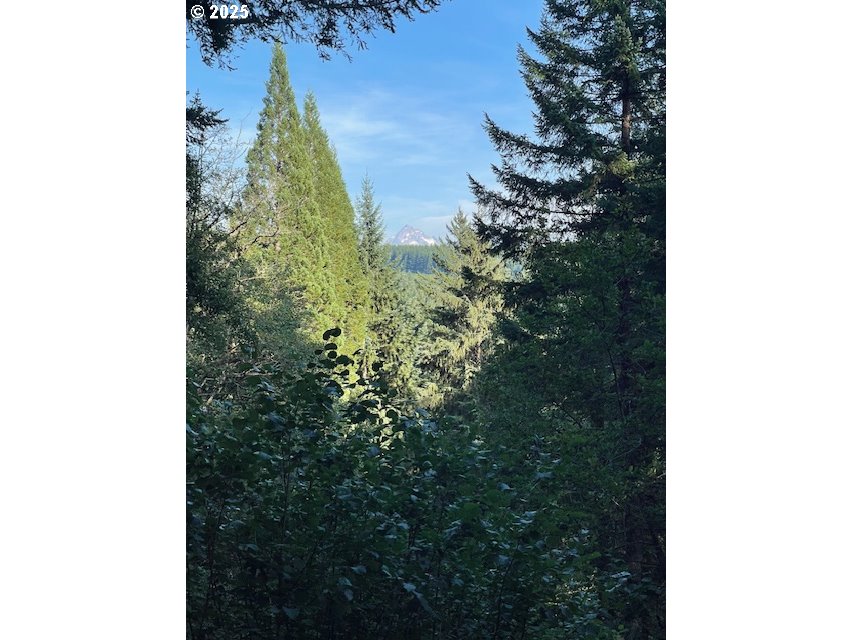 0 Mathews Road, Unit 1 Washougal, WA 98671 - Photo 1 of 6 Gallery Image 1