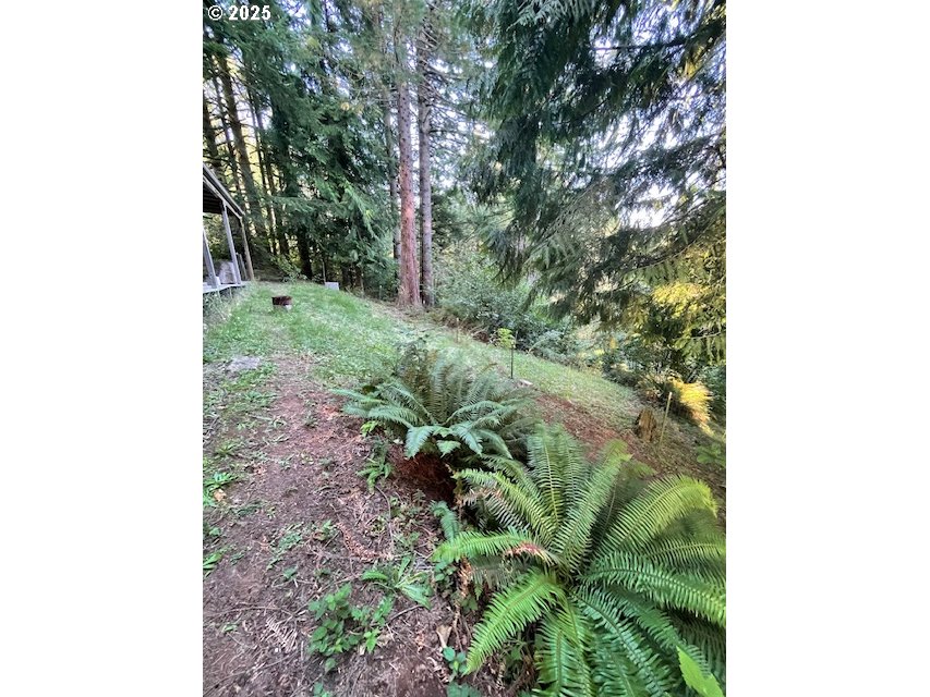 0 Mathews Road, Unit 1 Washougal, WA 98671 - Photo 3 of 6 Gallery Image 3