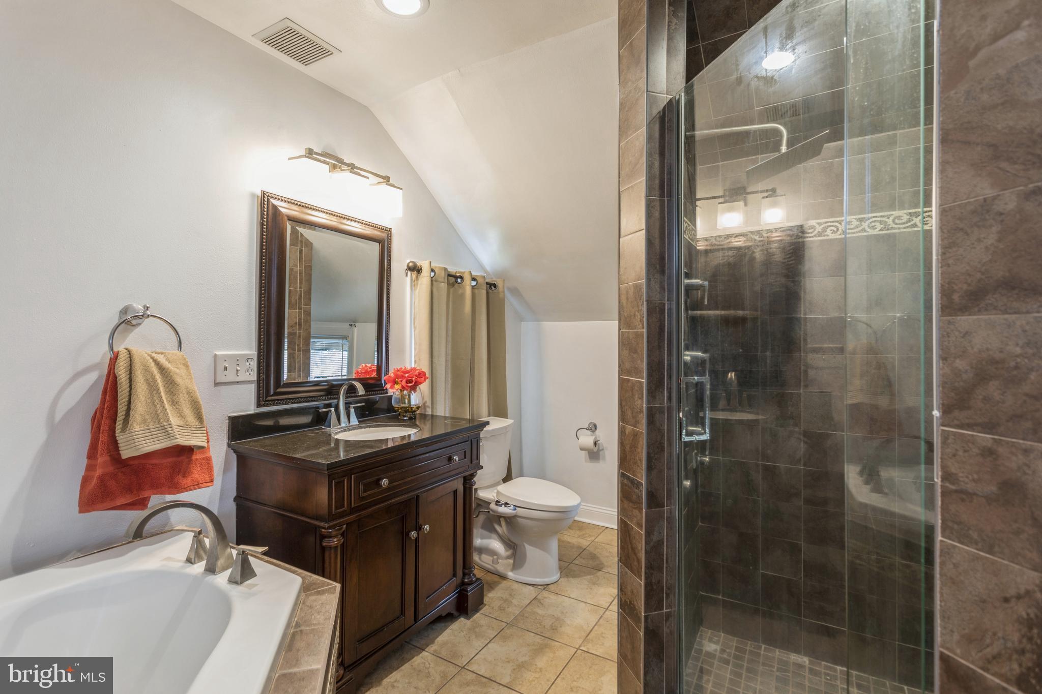 10330 Rogues Road Midland, VA 22728 - Photo 19 of 33 Soaking tub and separate glass shower