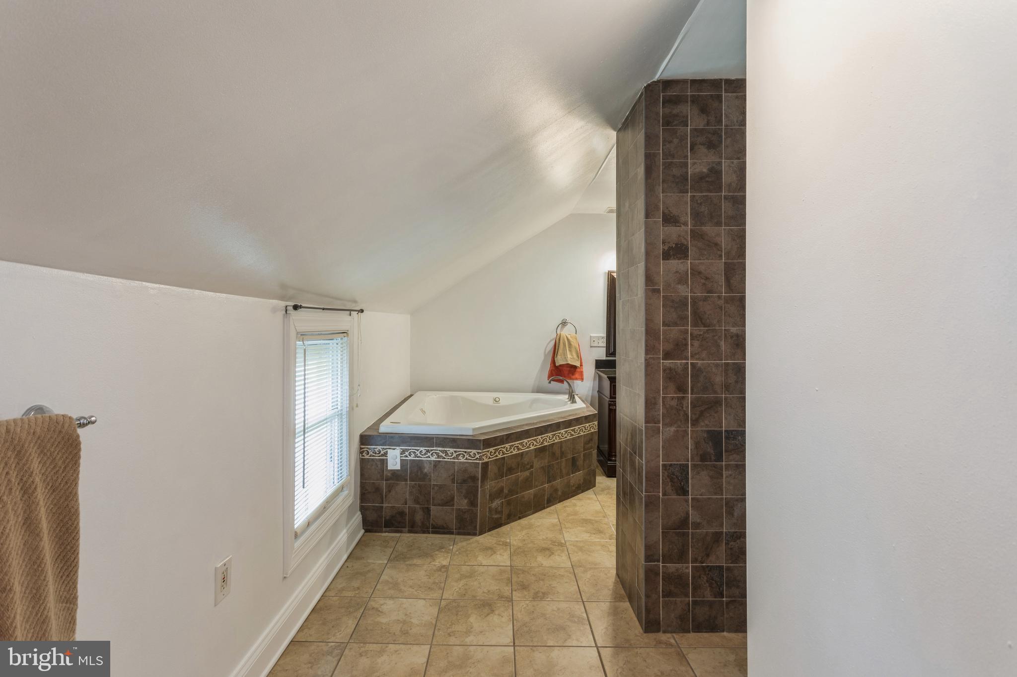 10330 Rogues Road Midland, VA 22728 - Photo 20 of 33 Primary bathroom with soaking tub