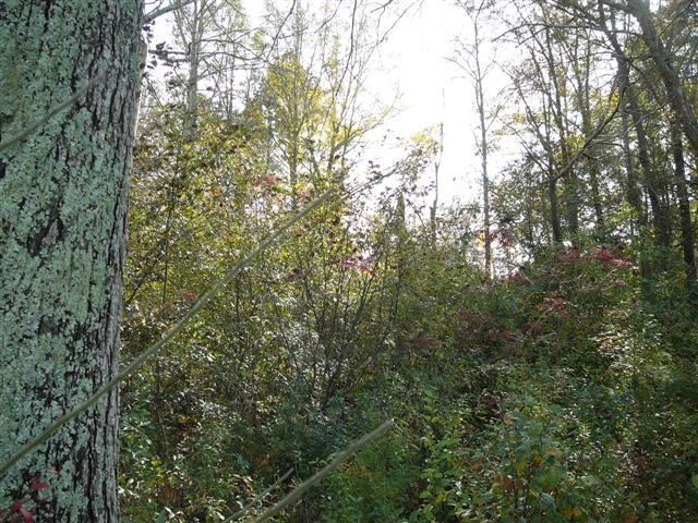 B1 Broadway Lake Road Anderson, SC 29621 - Photo 5 of 7