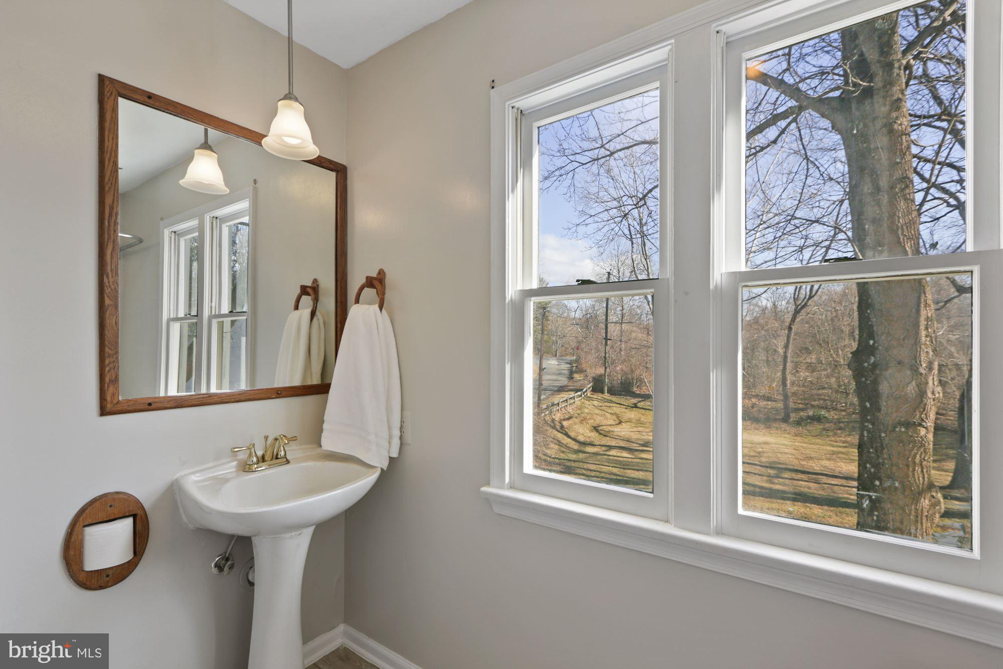 2734 Crooked Run Road Delaplane, VA 20144 - Photo 18 of 38 Master bath.