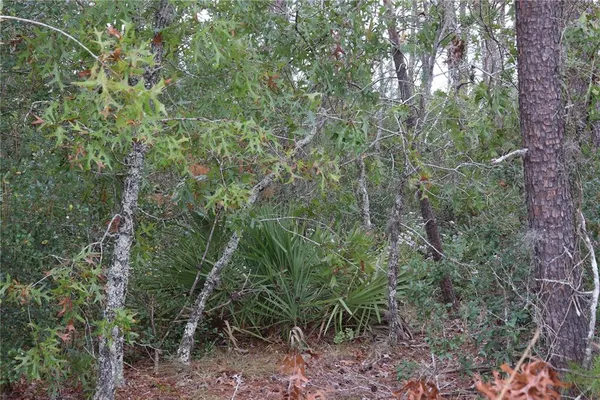 a view of a lush green field