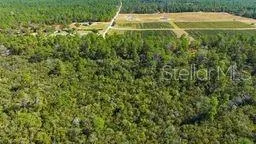 a view of a yard with an outdoor space