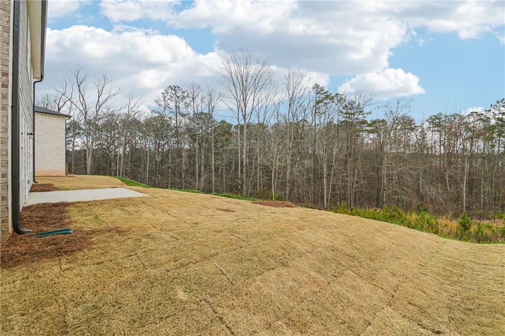 6941 Winchester Place Fairburn, GA 30213 - Photo 50 of 54