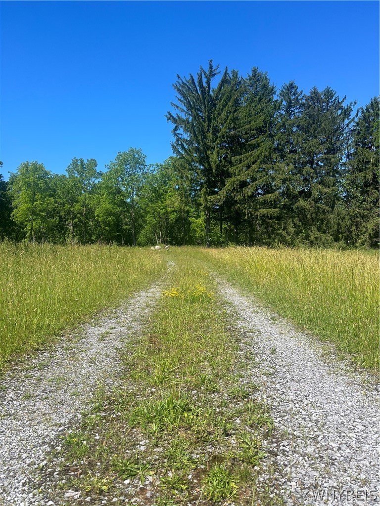 4880 Ransom Road Clarence, NY 14031 - Photo 10 of 42 Gallery Image 10