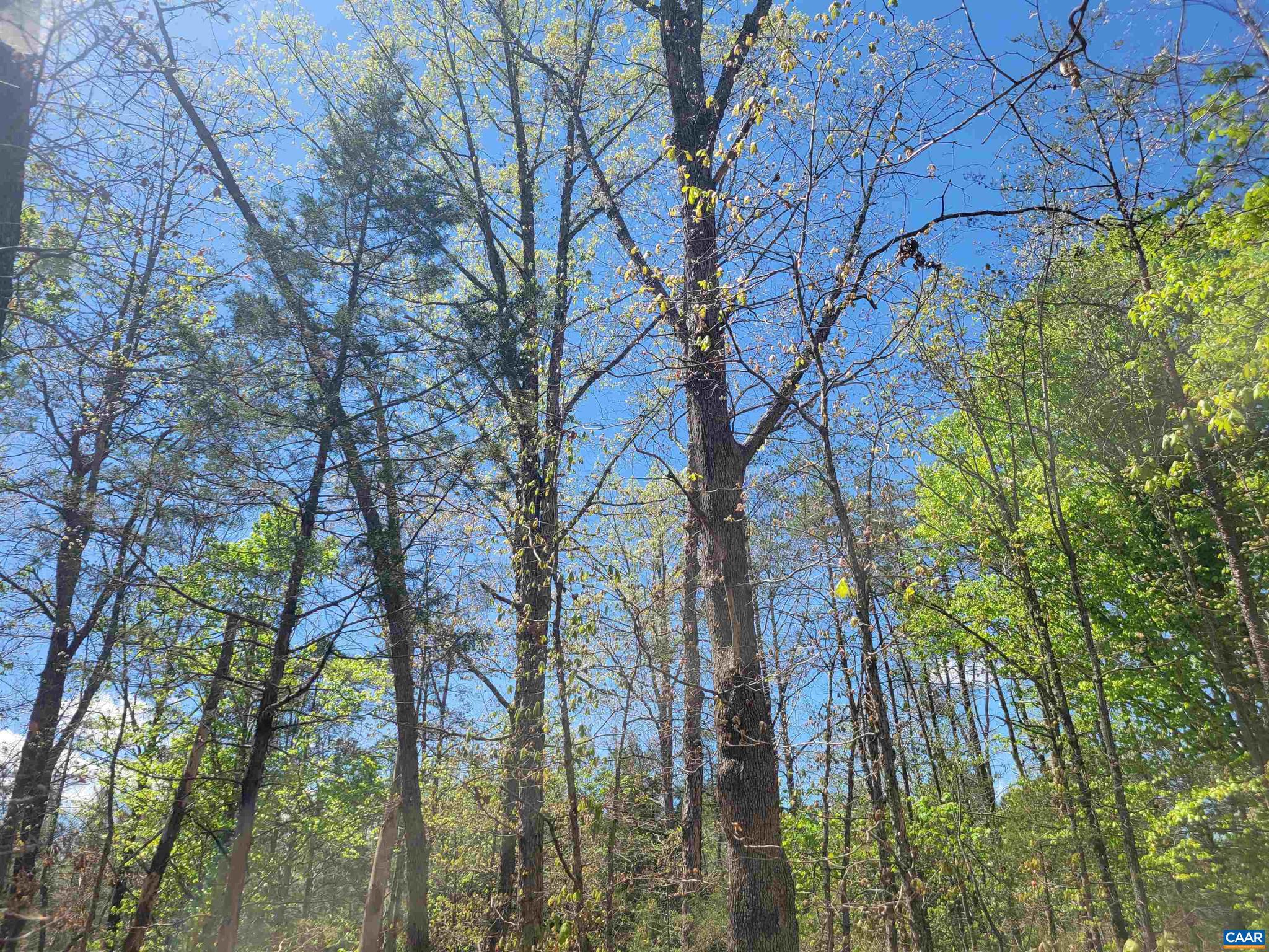 13.3-ac Glade Road, Unit 1 Shipman, VA 22971 - Photo 9 of 9