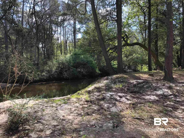 $450,000 | 21305 River Road, Robertsdale, AL 36567