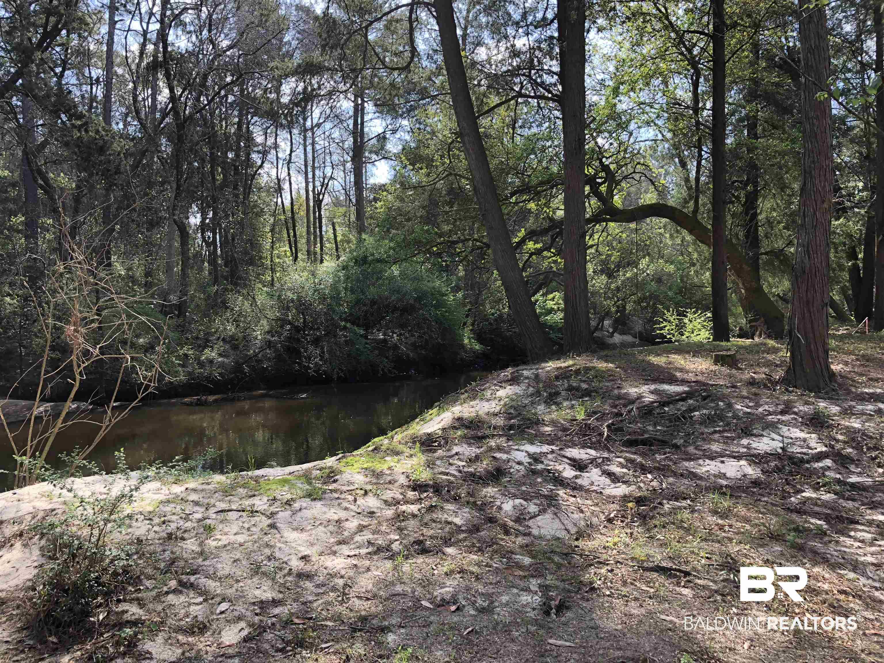 21305 River Road Robertsdale, AL 36567 - Photo 1 of 50 View of nature