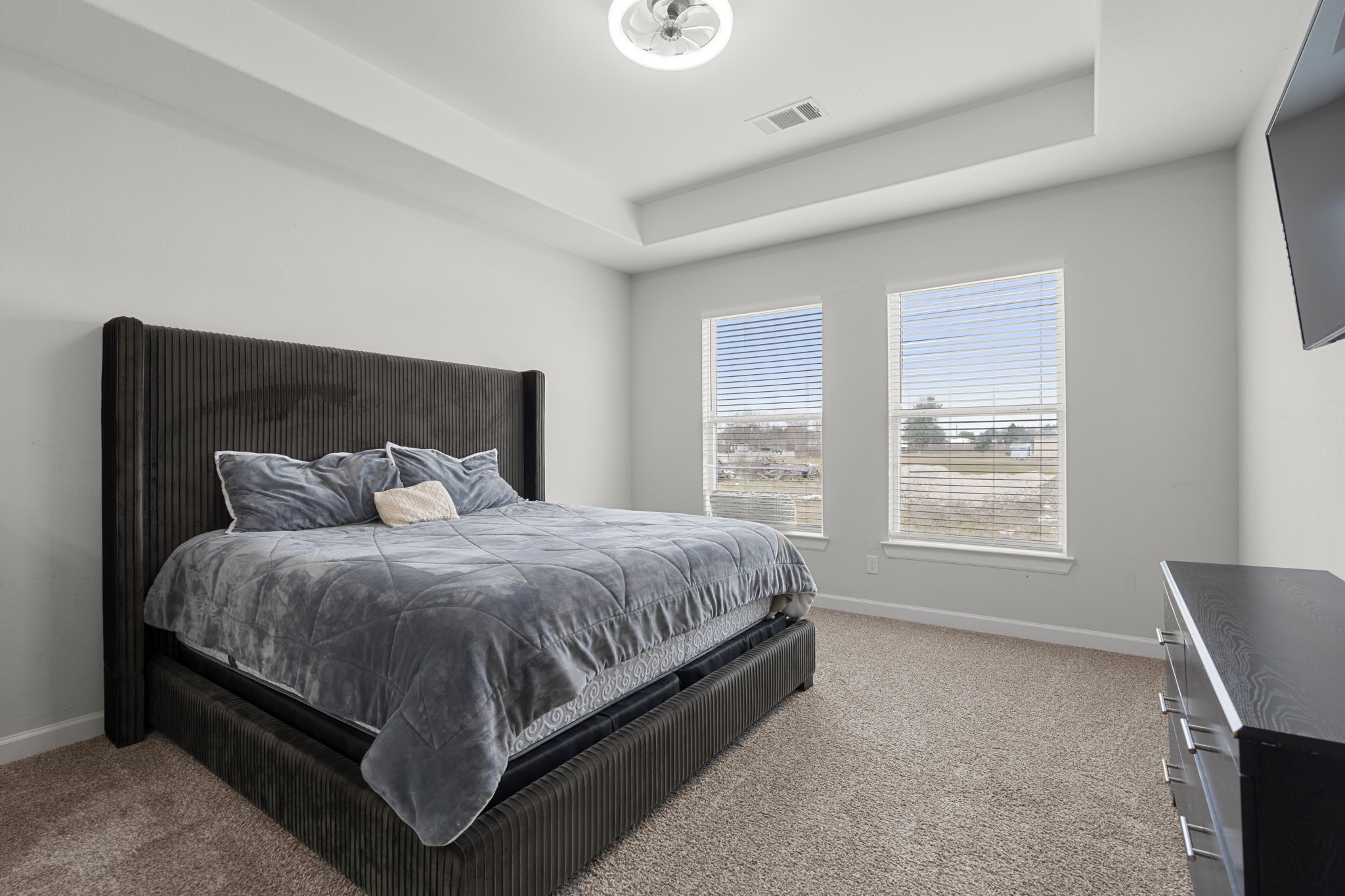 1294 County Road 5100 Cleveland, TX 77327 - Photo 17 of 27 A serene and spacious primary bedroom designed for rest and relaxation. Soft natural light pours in through large windows, while the tray ceiling adds architectural interest and an airy feel. Plush carpeting and a calming color palette create a peaceful retreat at the end of the day.