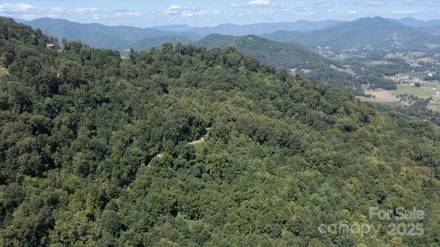 a view of a lush green hillside and a mountain