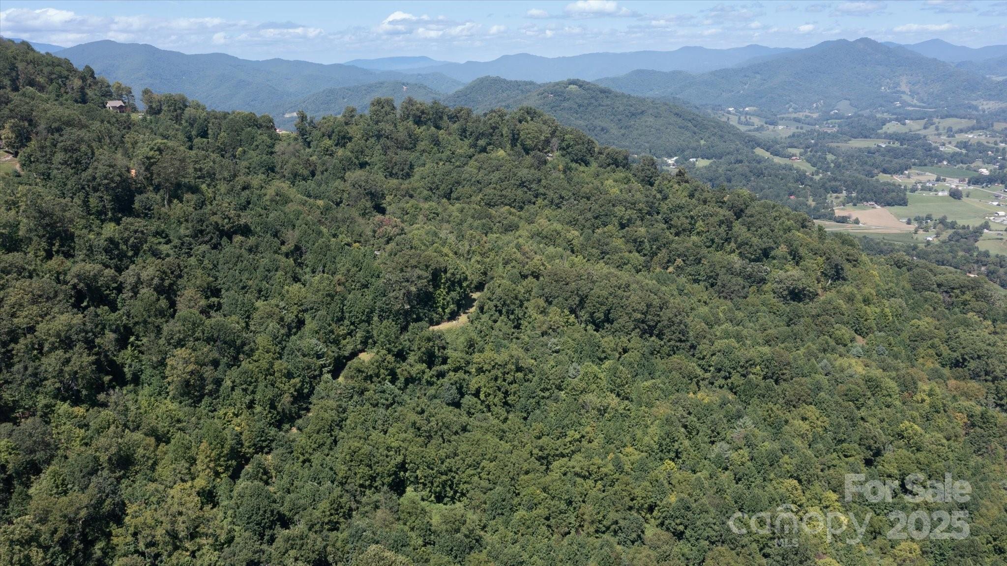 a view of a lush green hillside and a mountain