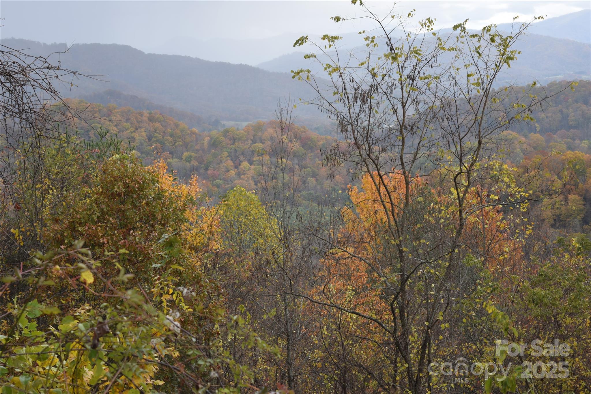 107 Escalante Road, Unit 14 Waynesville, NC 28785 - Photo 13 of 16 a view of mountain view with lots of trees