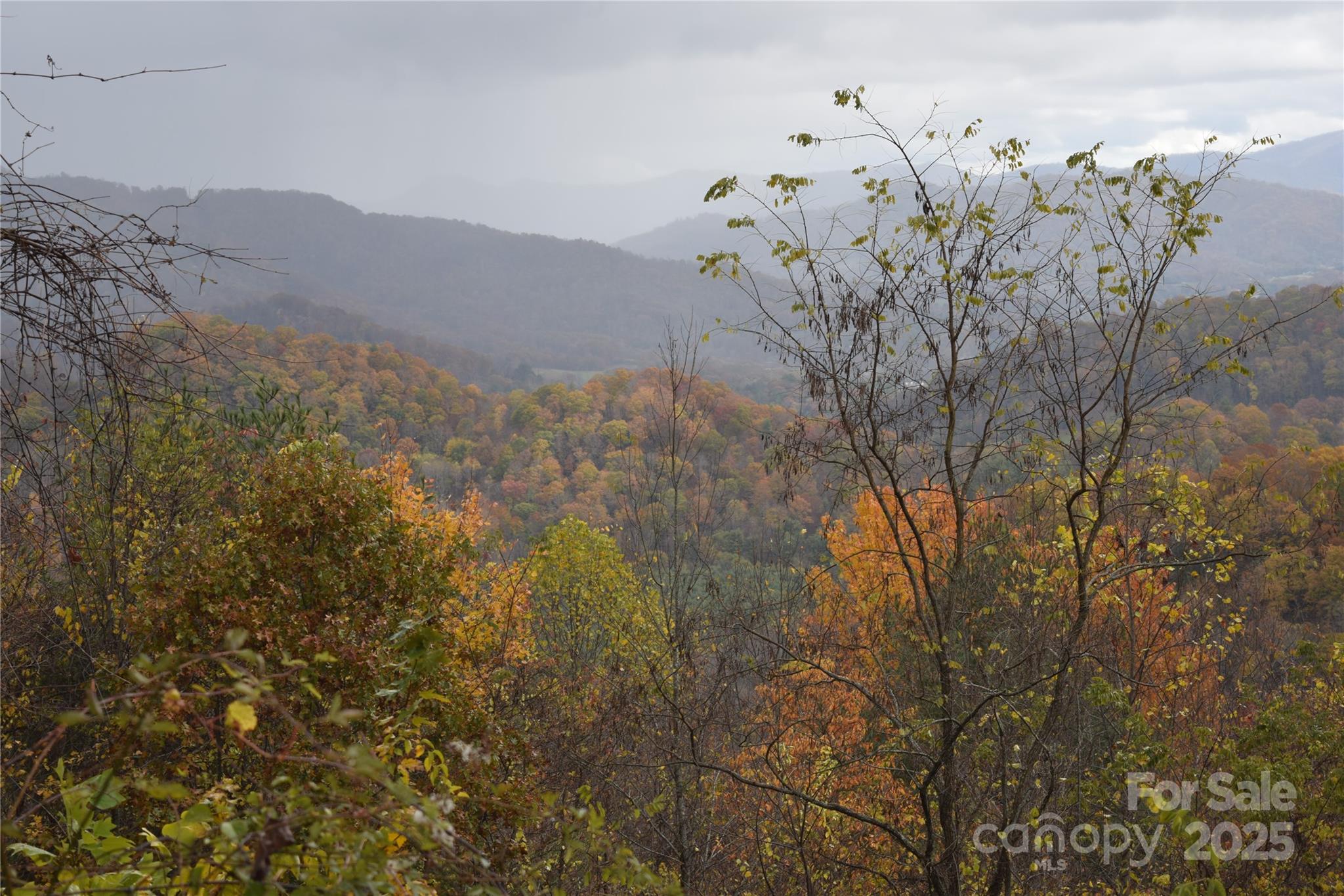 107 Escalante Road, Unit 14 Waynesville, NC 28785 - Photo 14 of 16 a view of a tree in a field with a tree in the background