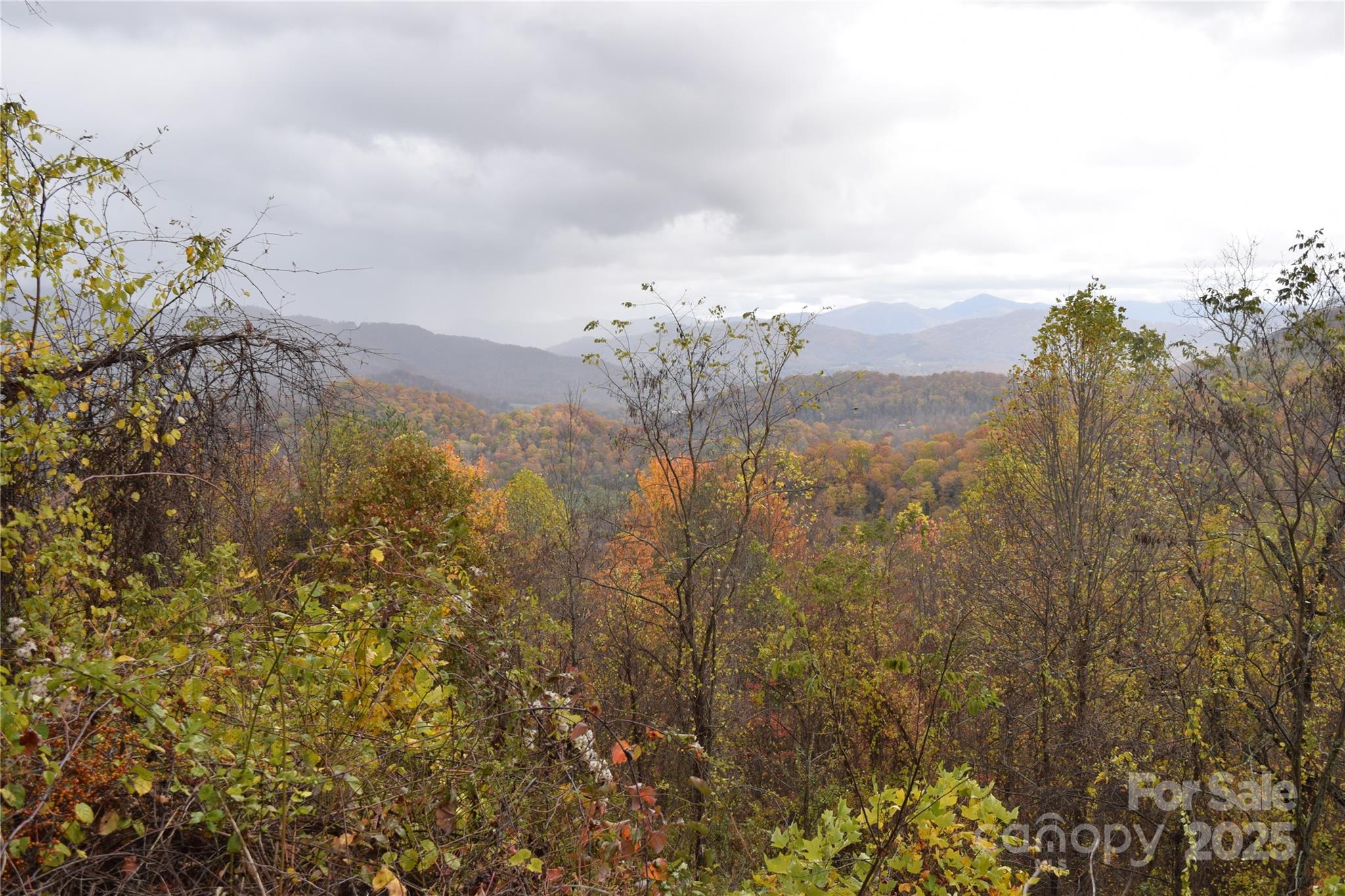 107 Escalante Road, Unit 14 Waynesville, NC 28785 - Photo 15 of 16 a view of a houses with a yard