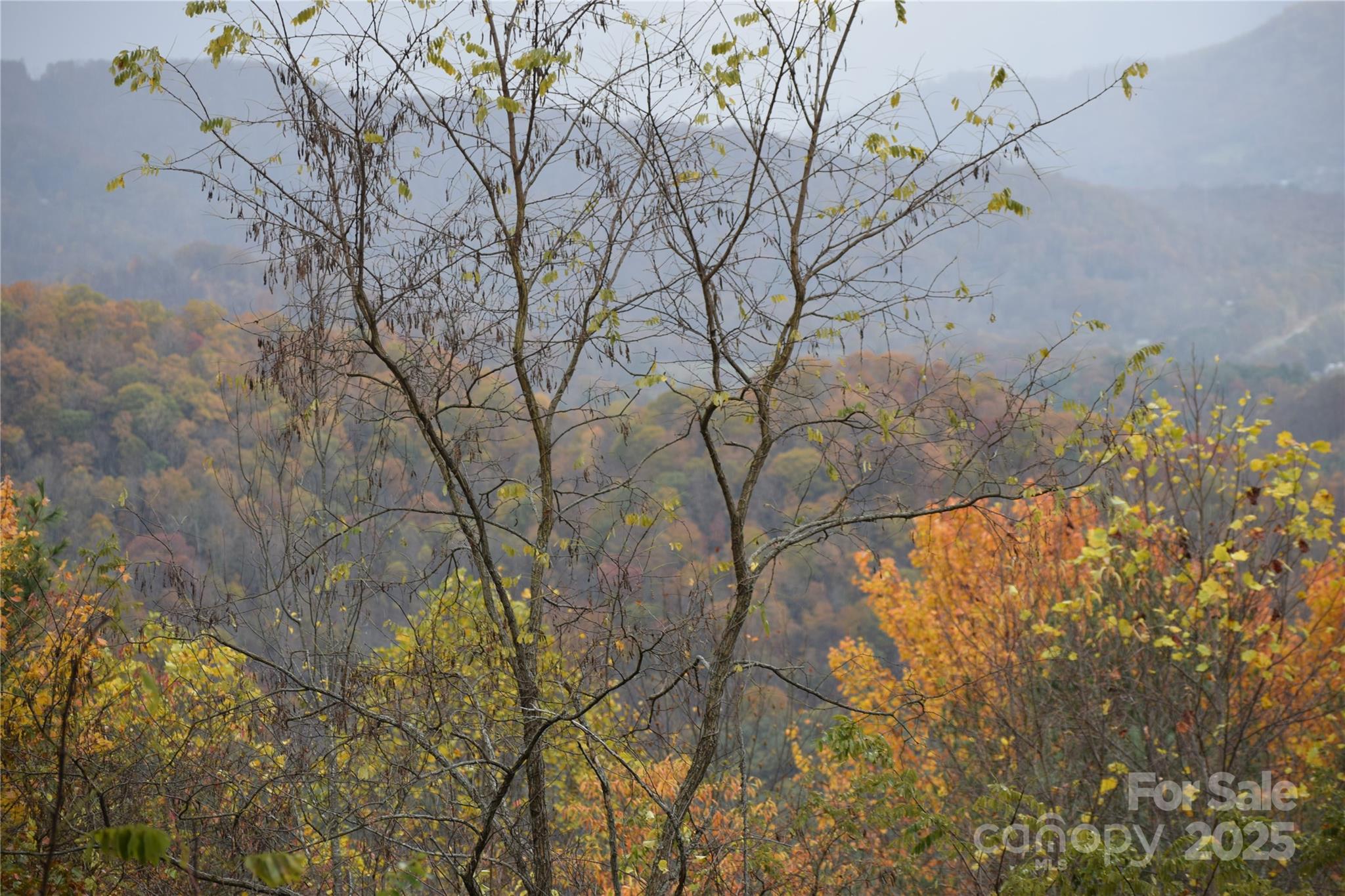 107 Escalante Road, Unit 14 Waynesville, NC 28785 - Photo 16 of 16 a backyard of a house with lots of green space