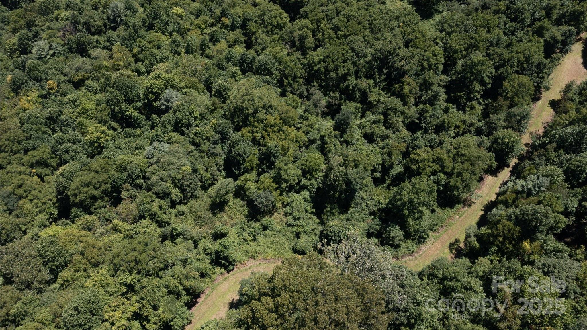 107 Escalante Road, Unit 14 Waynesville, NC 28785 - Photo 3 of 16 an outdoor view of house with green space