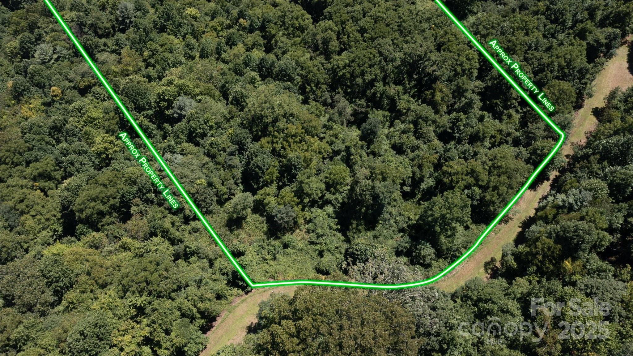 107 Escalante Road, Unit 14 Waynesville, NC 28785 - Photo 4 of 16 a view of a yard with plants