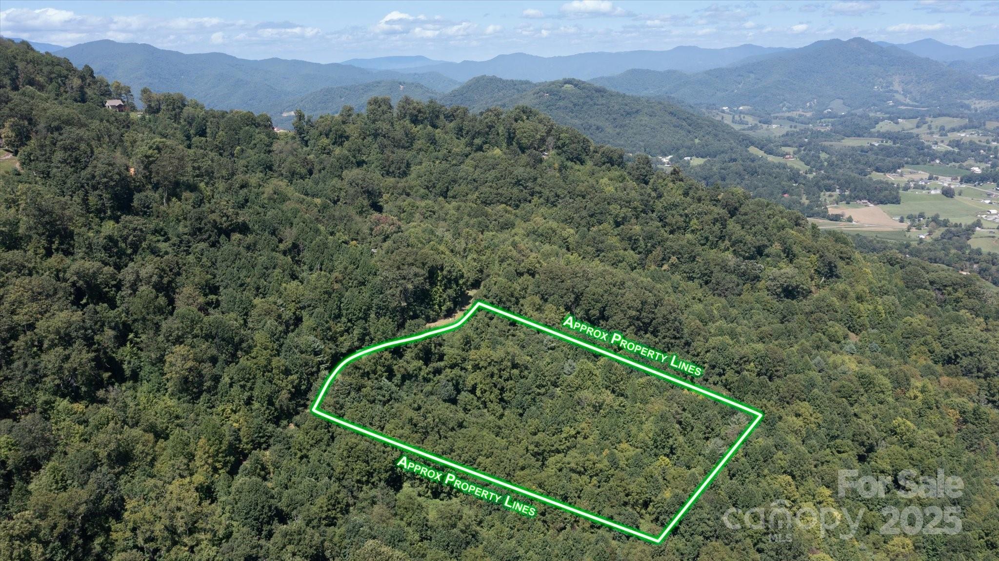 107 Escalante Road, Unit 14 Waynesville, NC 28785 - Photo 5 of 16 a view of a forest