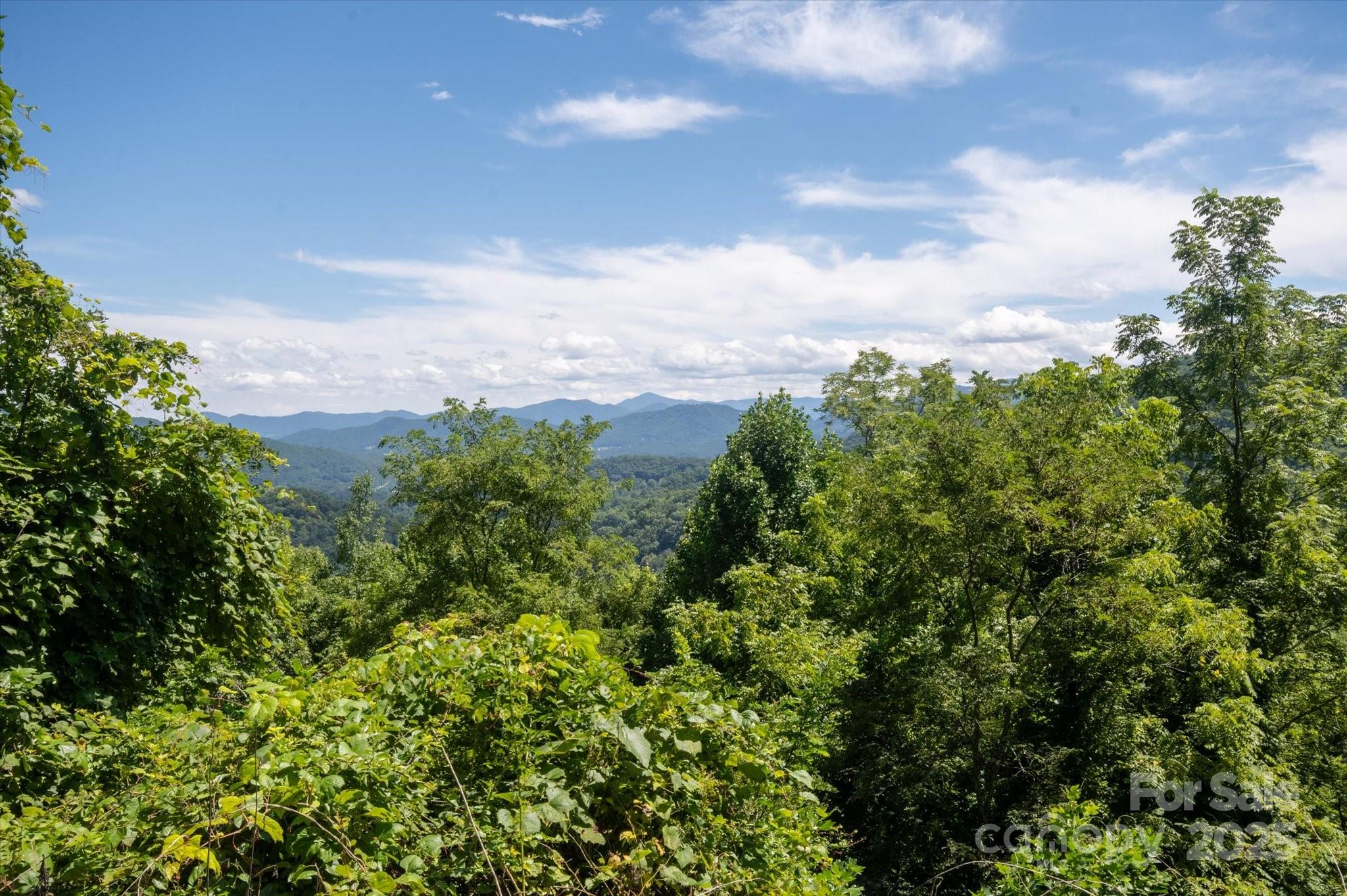 107 Escalante Road, Unit 14 Waynesville, NC 28785 - Photo 8 of 16 a view of a bunch of trees
