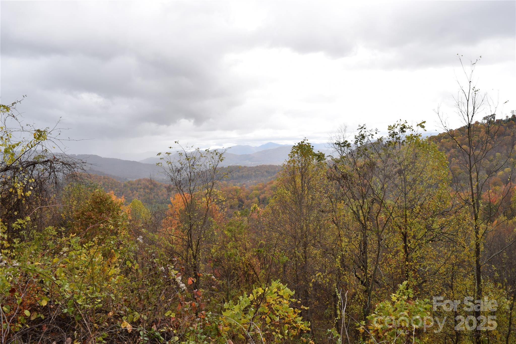 107 Escalante Road, Unit 14 Waynesville, NC 28785 - Photo 9 of 16 a view of a city