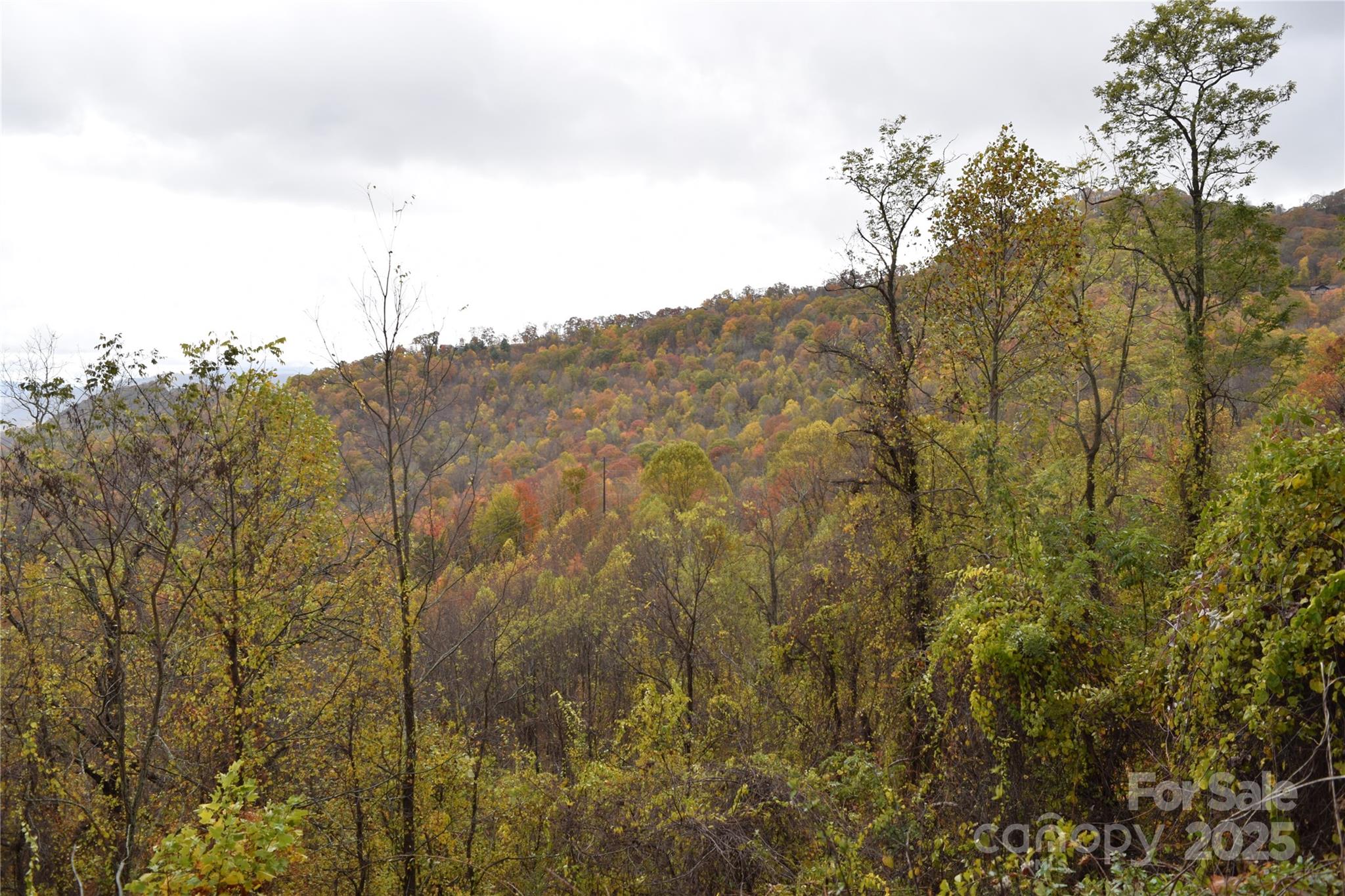 107 Escalante Road, Unit 14 Waynesville, NC 28785 - Photo 10 of 16