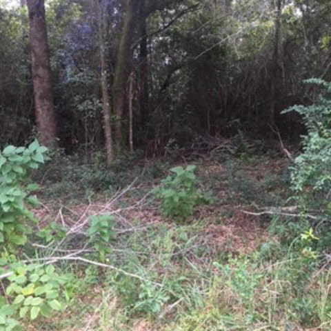 0 Bruhn Road Elberta, AL 36530 - Photo 3 of 7