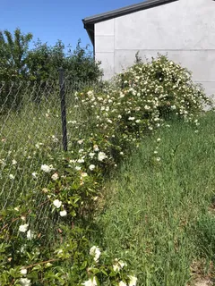 $2,499,000 | 5300 Gravenstein Highway South, Sebastopol, CA 95472