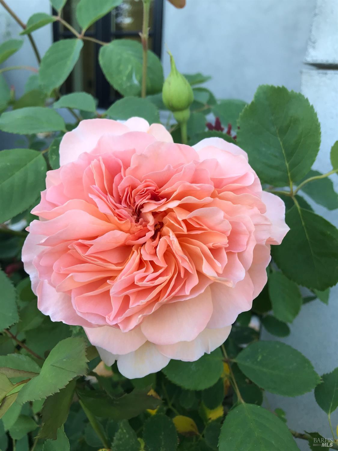 5300 Gravenstein Highway South Sebastopol, CA 95472 - Photo 68 of 75