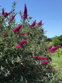 $2,499,000 | 5300 Gravenstein Highway South, Sebastopol, CA 95472