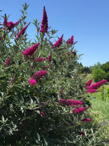 $2,501,000 | 5300 Gravenstein Highway South, Sebastopol, CA 95472