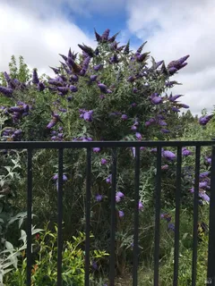 $2,499,000 | 5300 Gravenstein Highway South, Sebastopol, CA 95472