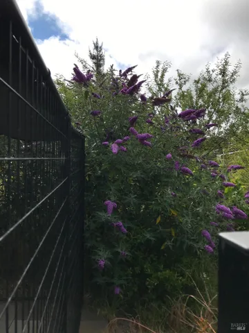 $2,501,000 | 5300 Gravenstein Highway South, Sebastopol, CA 95472