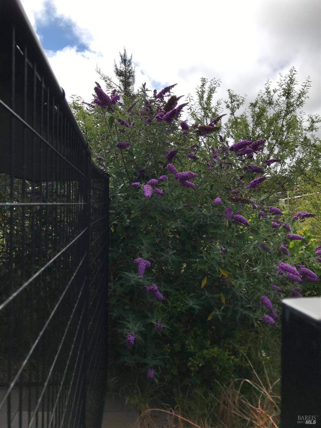 5300 Gravenstein Highway South Sebastopol, CA 95472 - Photo 72 of 75