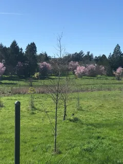 $2,499,000 | 5300 Gravenstein Highway South, Sebastopol, CA 95472