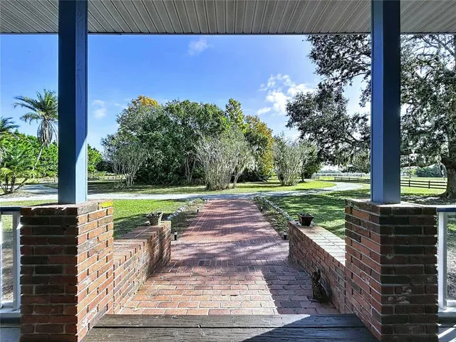 a view of a yard with plants and a bench