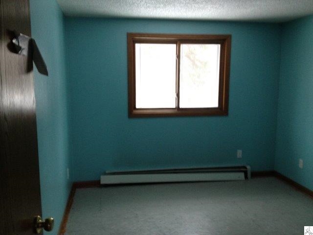 4849 East Bodas Road Aurora, MN 55705 - Photo 8 of 10 Gallery Image 8