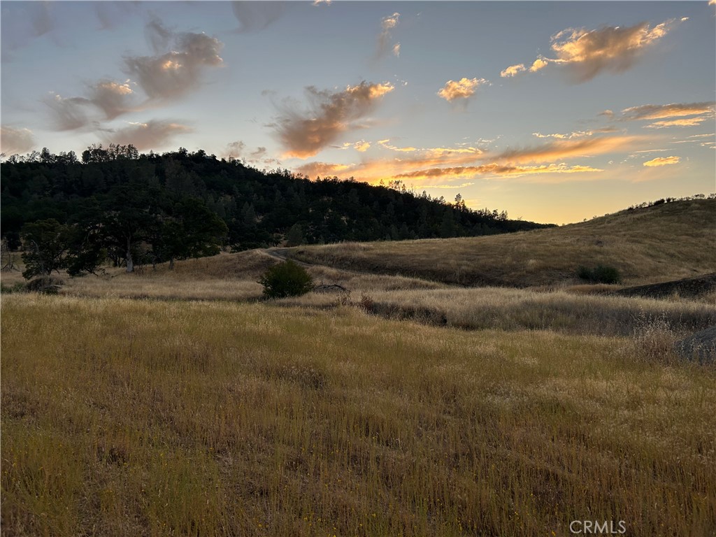 22368 Jerusalem Grde Lower Lake, CA 95457 - Photo 9 of 10