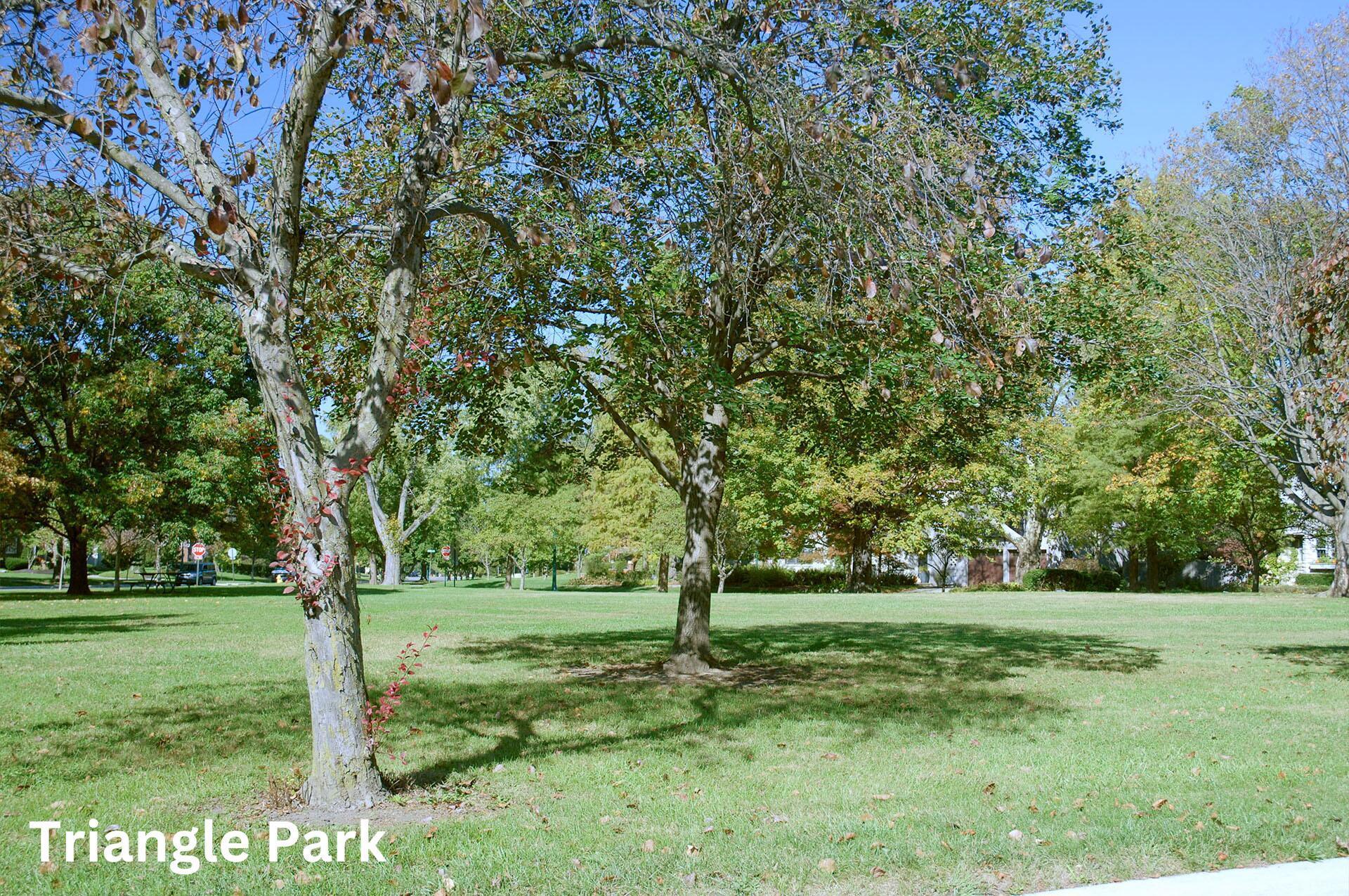 1901 Malvern Road Columbus, OH 43221 - Photo 39 of 41 Triangle Park