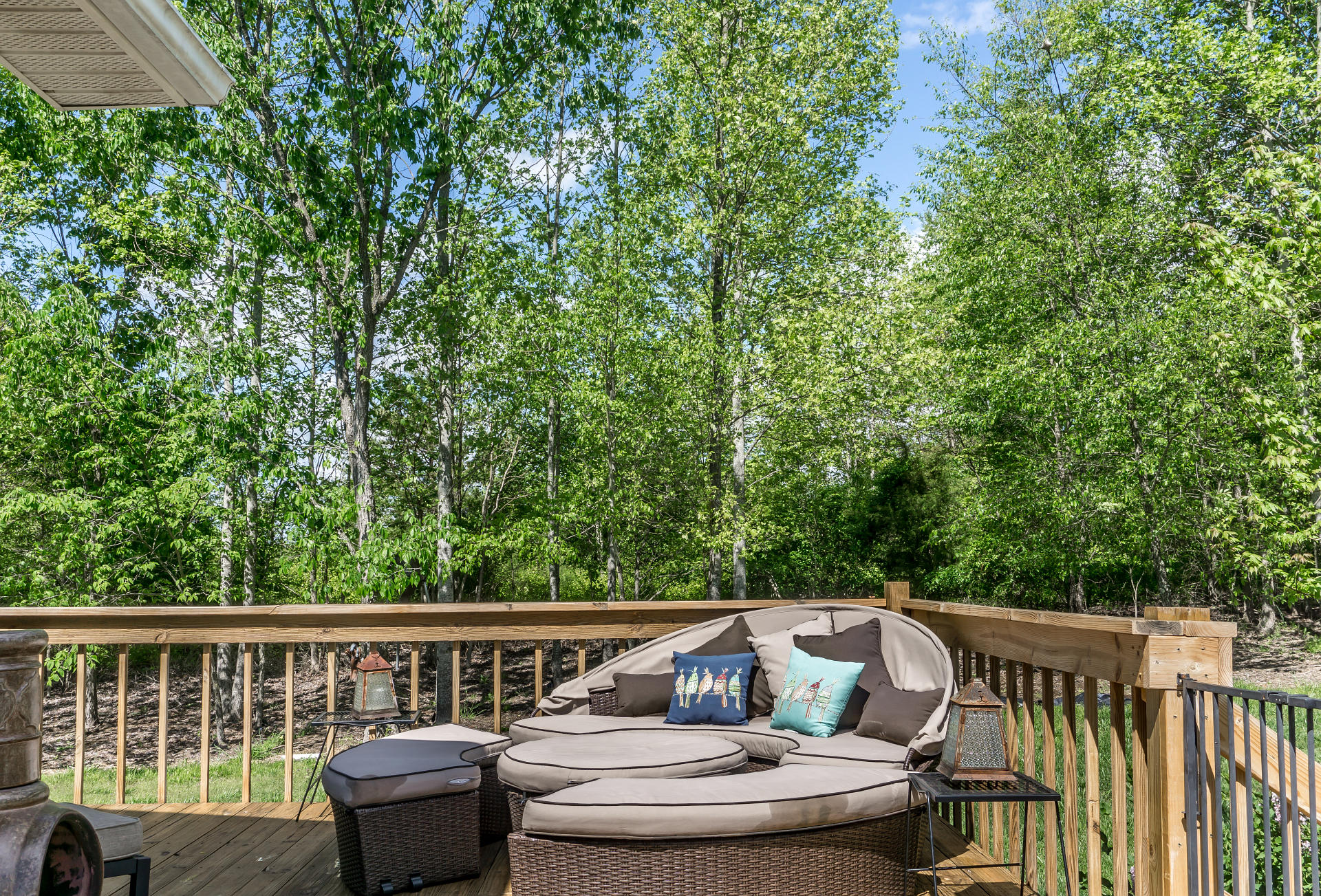 2230 Whitehouse Road Greeneville, TN 37745 - Photo 38 of 56 2230WhitehouseG_68