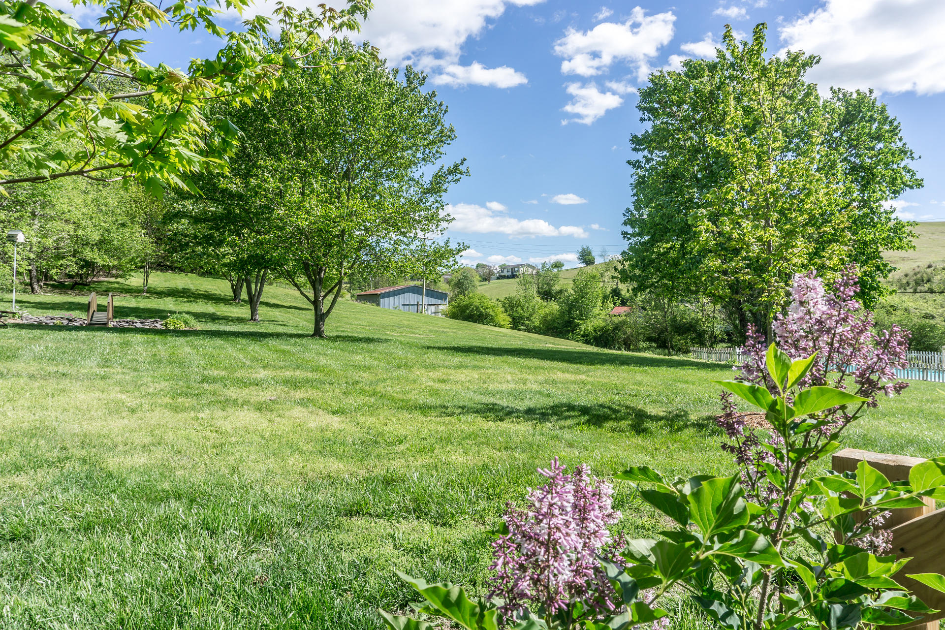 2230 Whitehouse Road Greeneville, TN 37745 - Photo 40 of 56 2230WhitehouseG_70