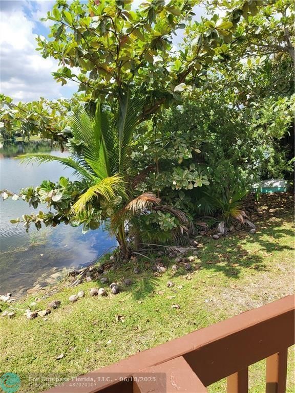 780 Northeast 199th Street, Unit E 101 Miami, FL 33179 - Photo 27 of 34 a view of a yard with plants