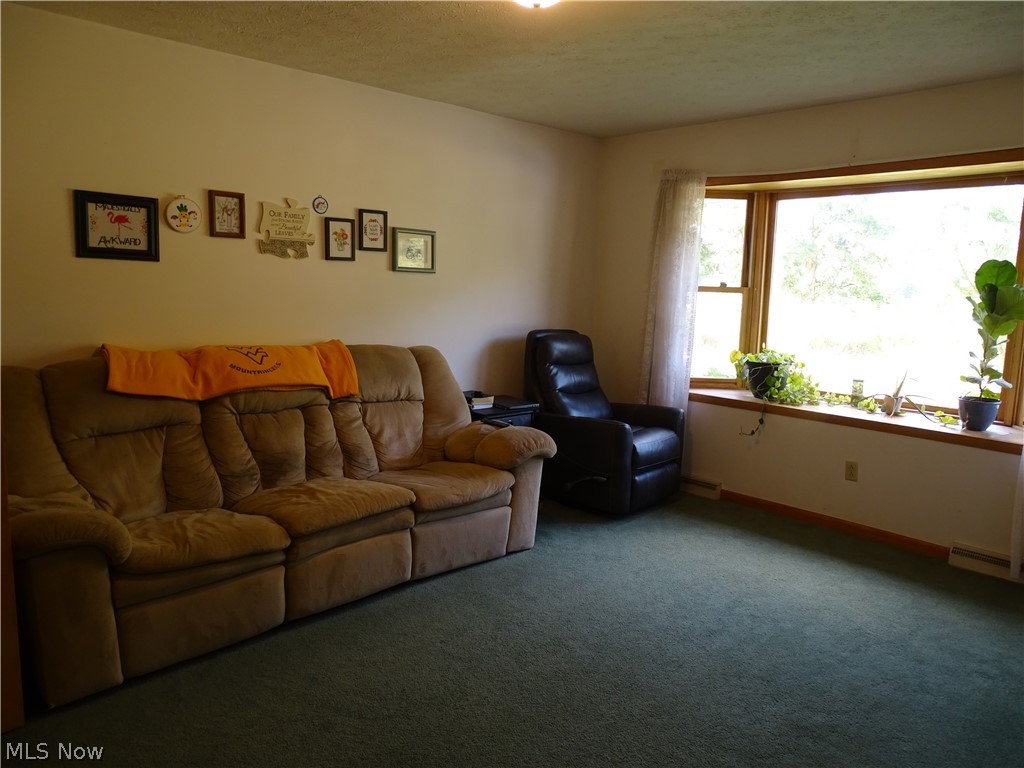 124 Henry Camp Road St. Marys, WV 26170 - Photo 4 of 11 Living Room