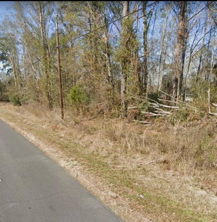 0 Faller Road Tickfaw, LA 70466 - Photo 2 of 5