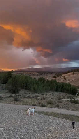 a view of a yard with a road