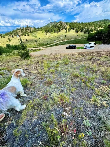 a view of a yard with a garden