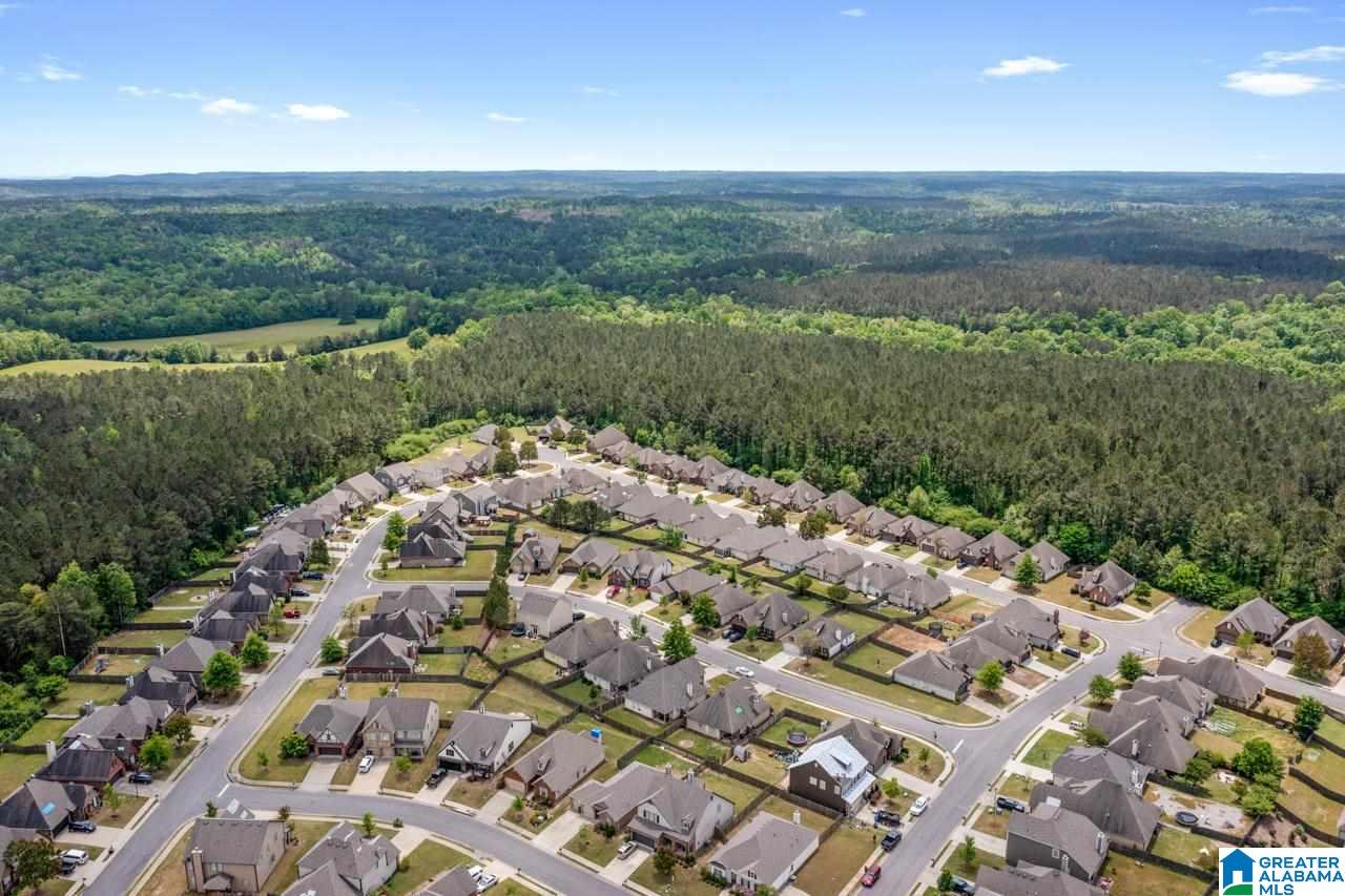 112 Star View Circle Alabaster, AL 35007 - Photo 29 of 29