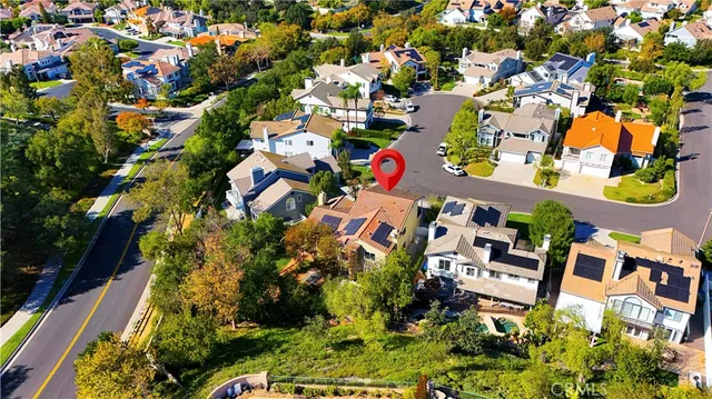 a view of a bunch of flowers